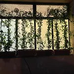 Bonconvento Guesthouse - Hituscany
